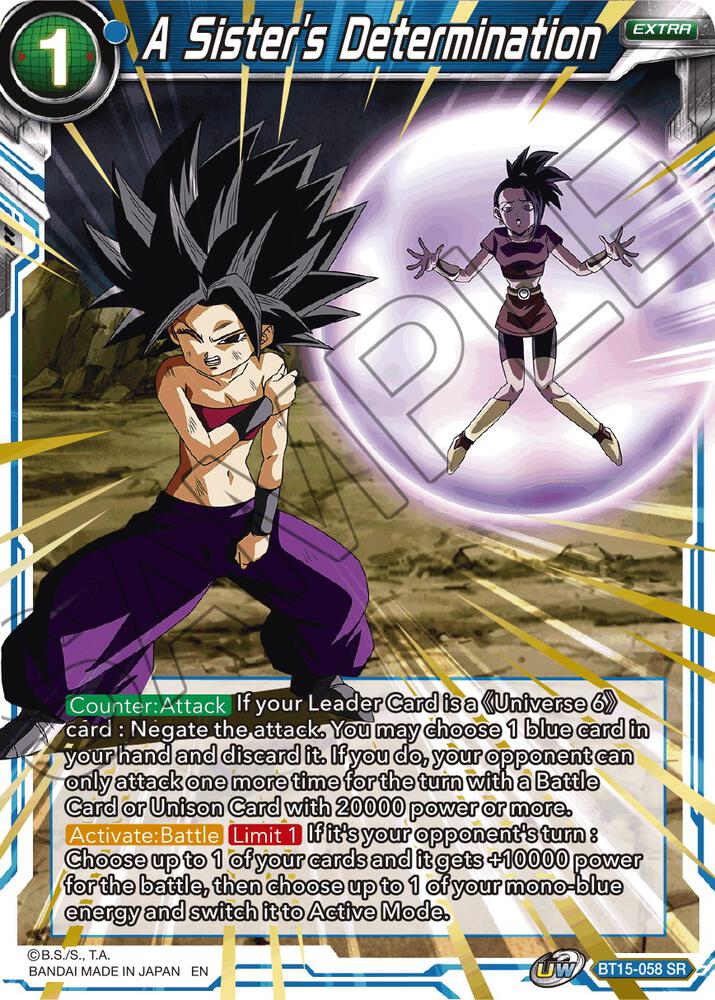 A Sisters Determination BT15-058