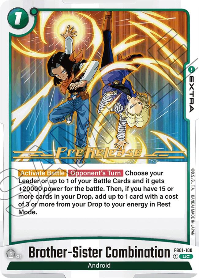 Brother Sister Combination FB01-100 card