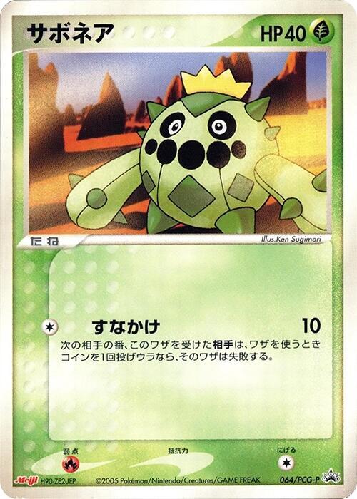 Cacnea 064 PCG P carta