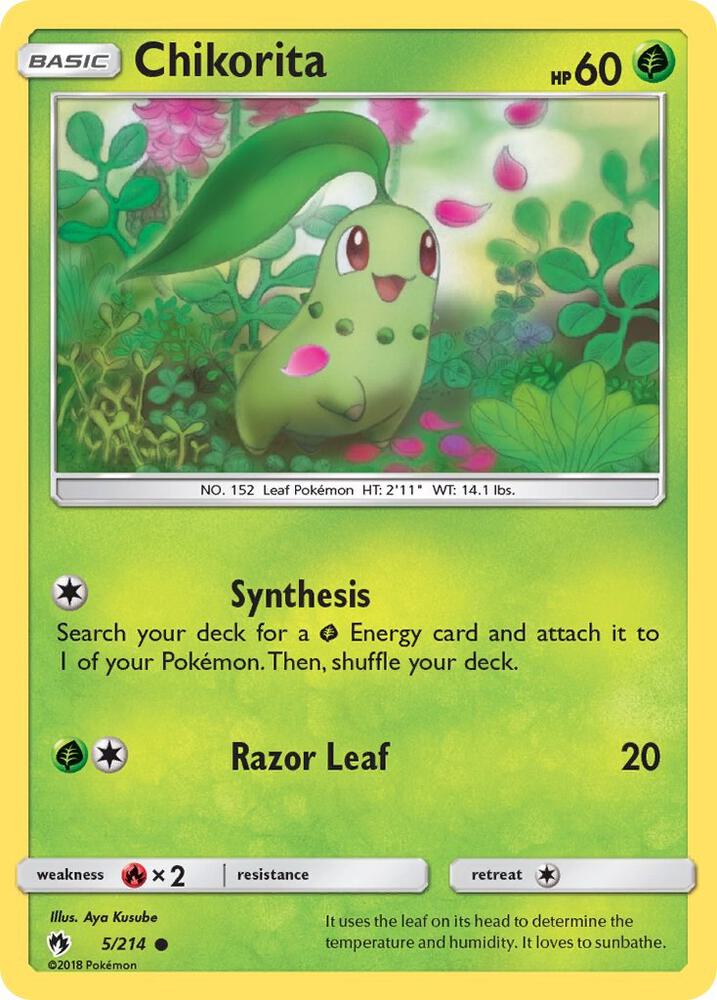 Chikorita 5 5/214