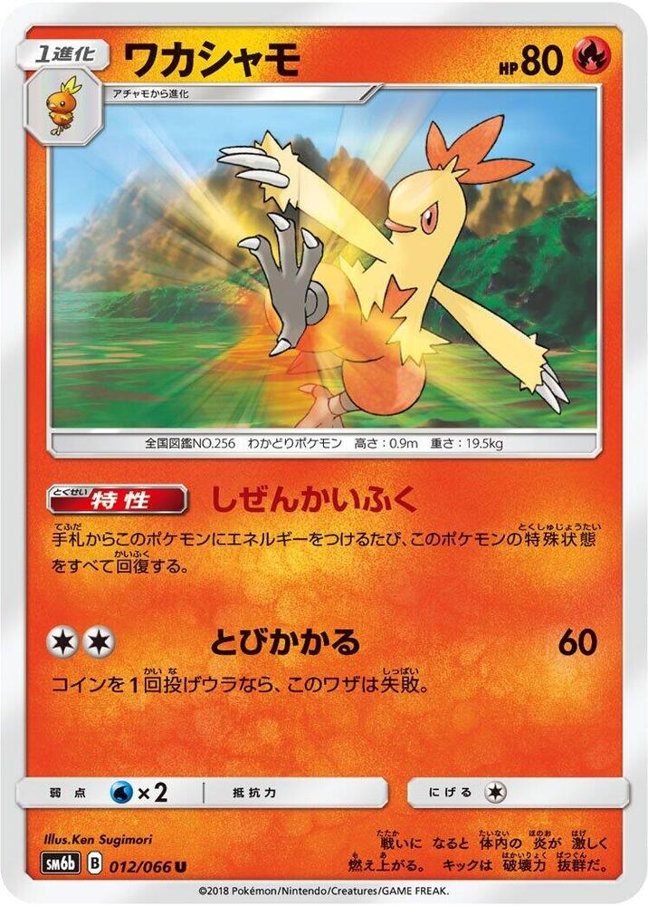 Combusken 012/066