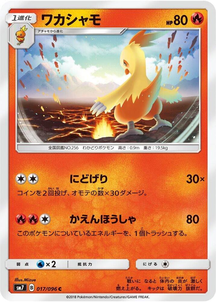 Combusken 017/096 card