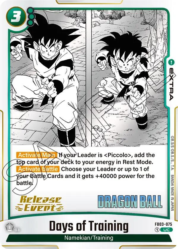 Days of Training FB03-075 carta