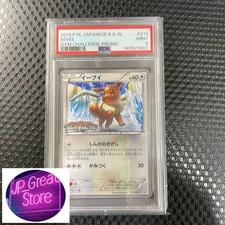 Eevee 213 BW P card