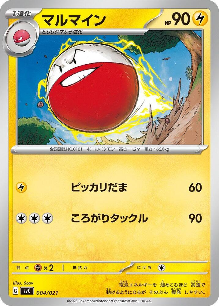 Electrode 004/021