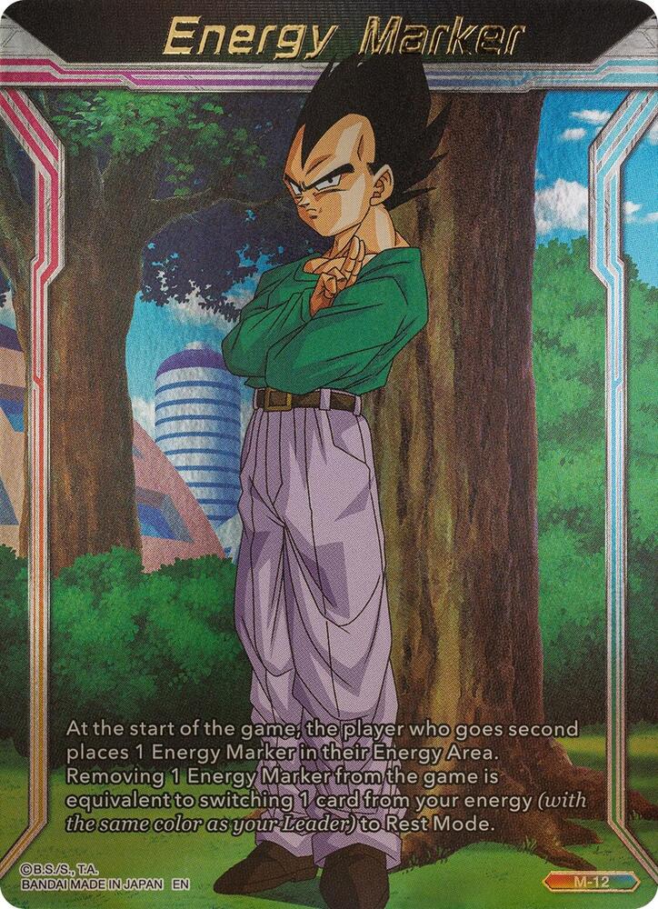 Energy Marker M 12 card