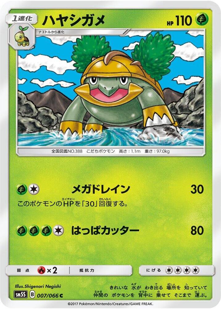 Grotle 007/066
