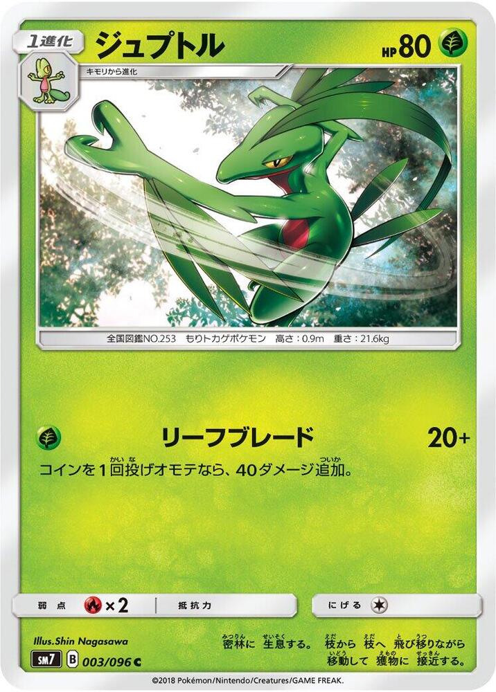 Grovyle 003/096 carta