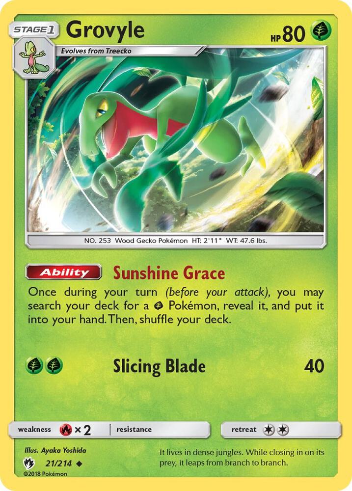 Grovyle 21/214