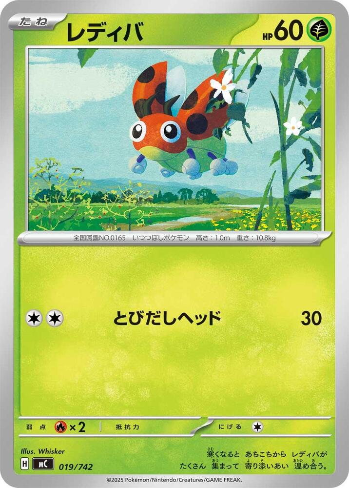 Ledyba 019/742