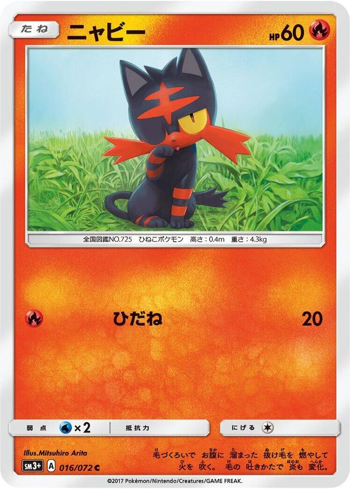 Litten 016/072
