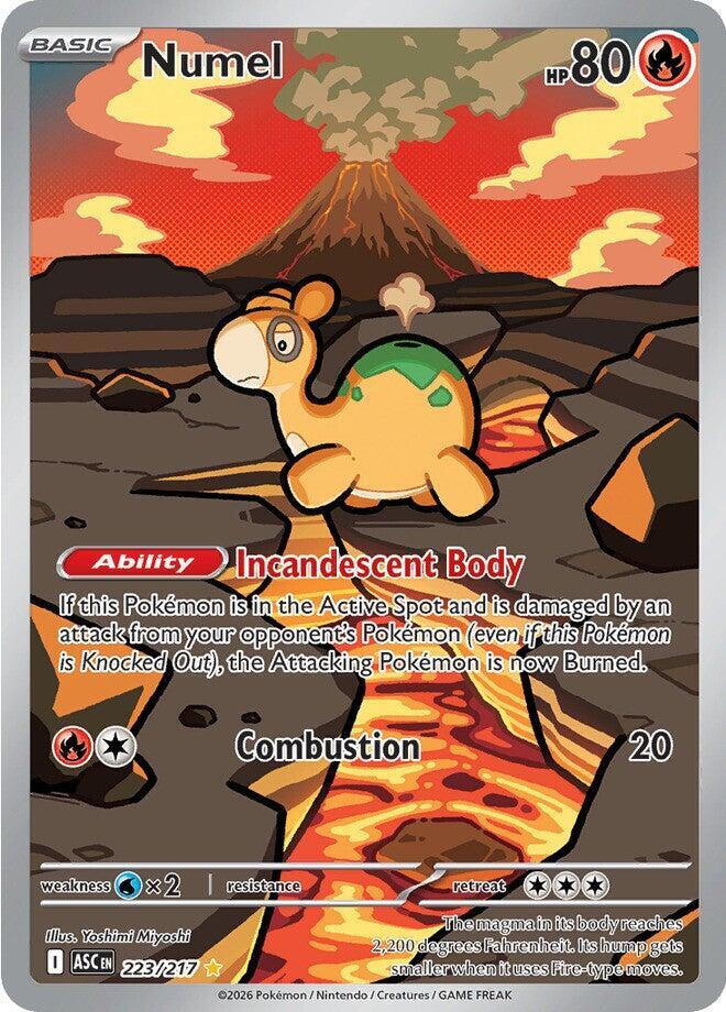 Numel 22 card