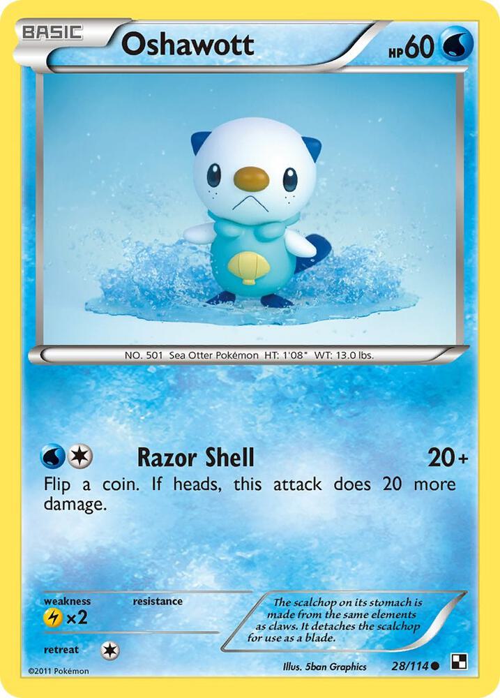 Oshawott 28 28/114