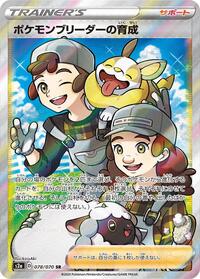 Pokemon Breeder's Nurturing 078/070