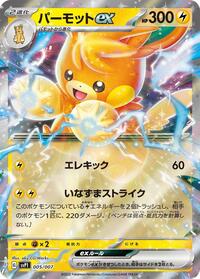 Pawmot ex 005/007