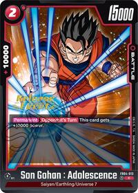 Son Gohan : Adolescence FB04-013