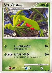Grovyle 002/014
