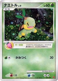 Turtwig 001/PPP