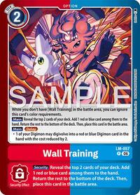 Wall Training LM-057 P