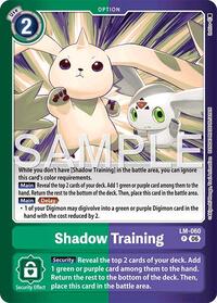 Shadow Training LM-060 P
