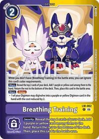 Breathing Training LM-062 P