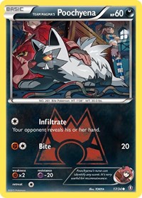 Team Magma's Poochyena 17/34