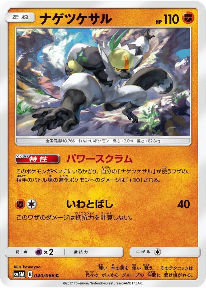 Passimian 040/066