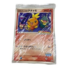 PokeParks Torchic 047 PCG P card