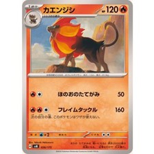 Pyroar 026/175 card