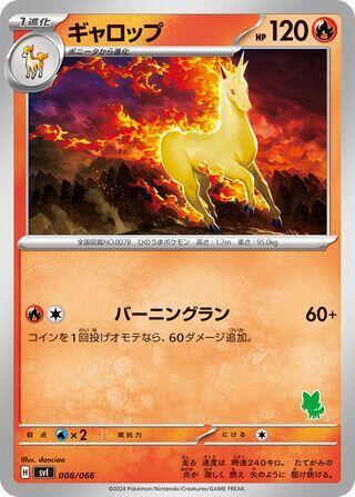 Rapidash 008/066 card