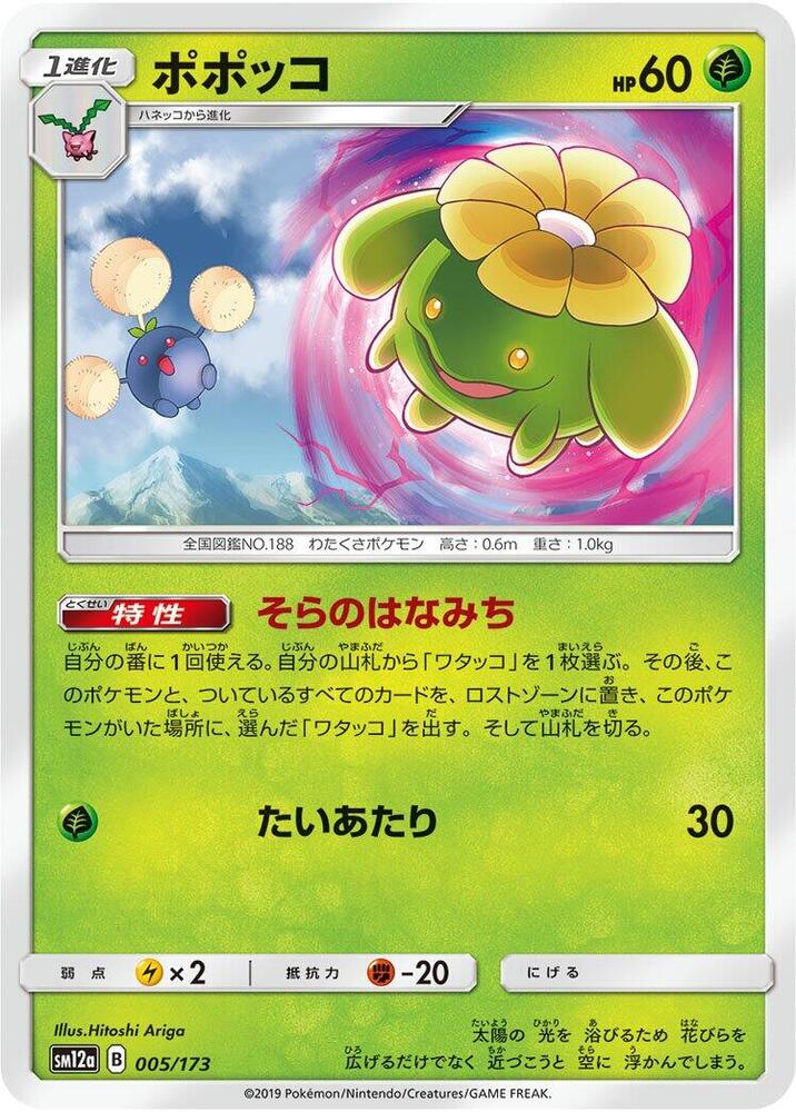 Skiploom 005/173