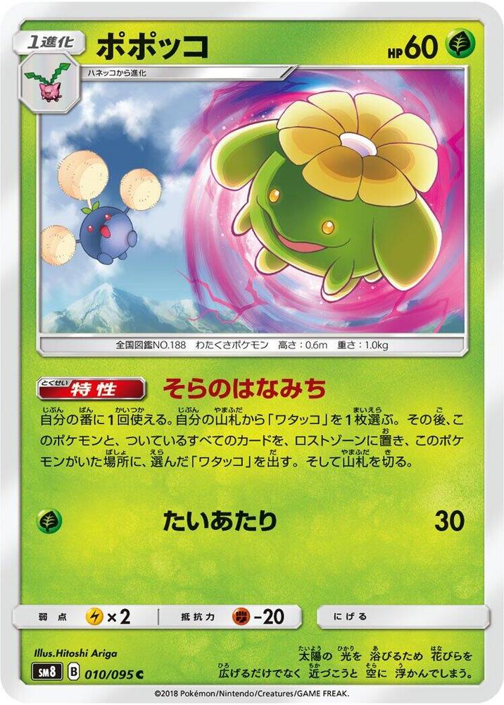Skiploom 010/095