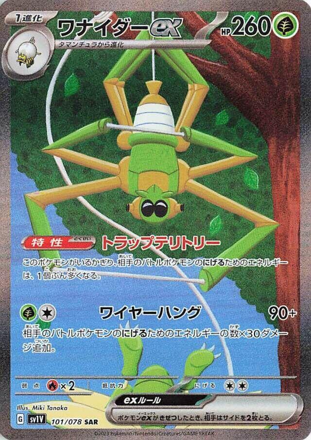 Spidops ex 101 078