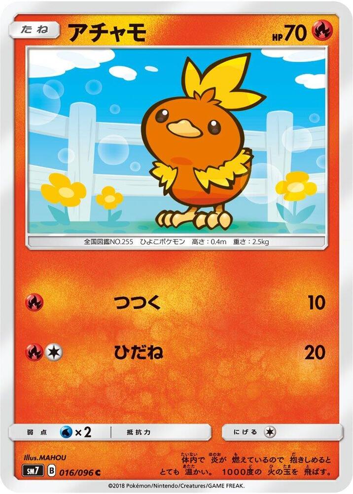 Torchic 016 096 carta