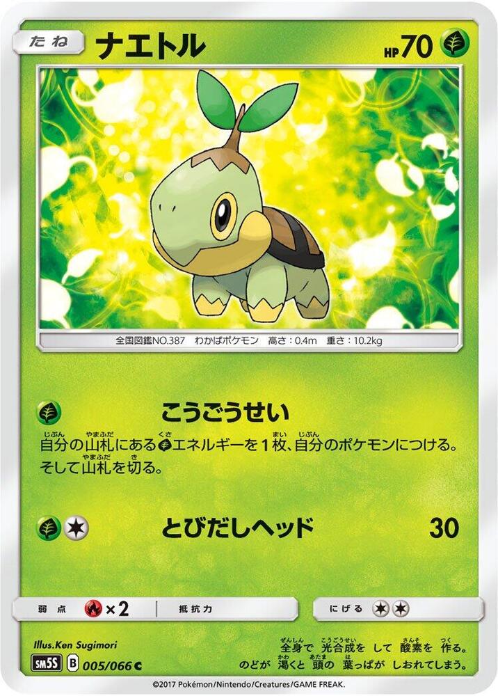 Turtwig 005 066