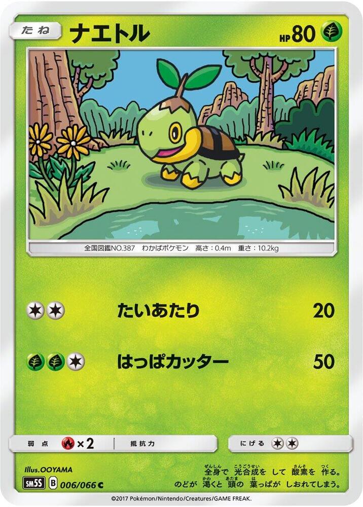 Turtwig 006 066