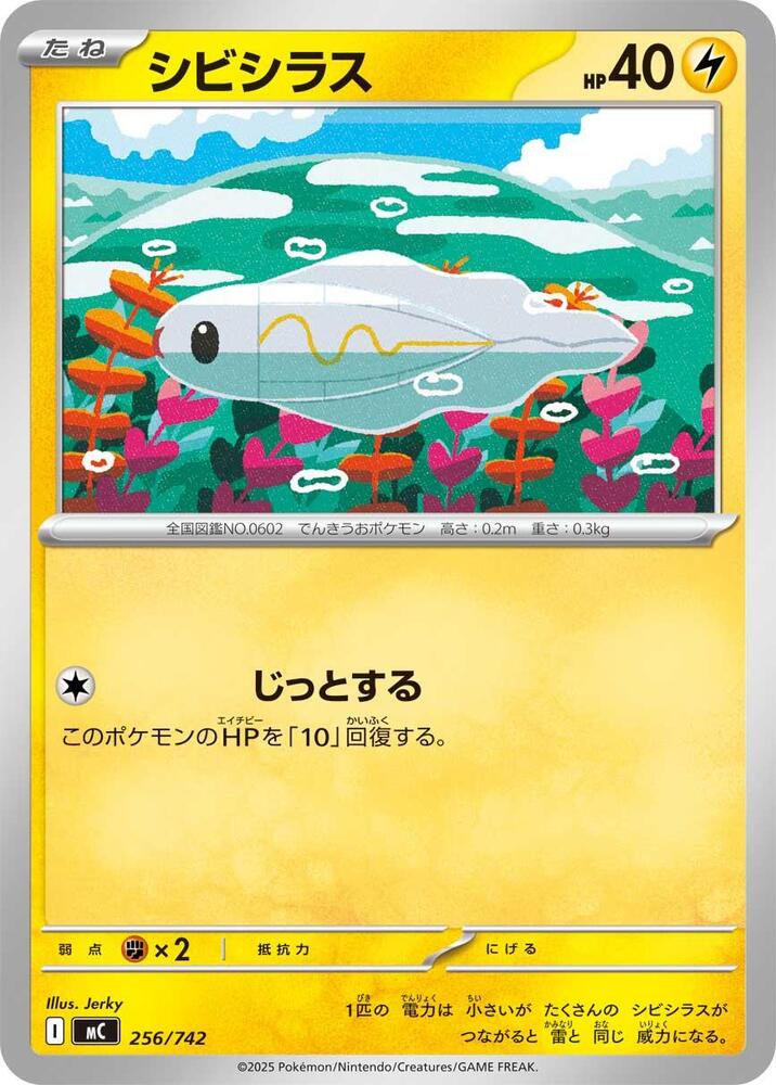 Tynamo 256/742 carta